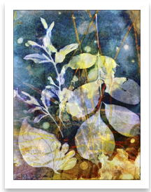 Screenshot 2025-06-20 at 3.36.33 PM